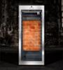 Хладилна витрина за сухо зреене, Premium S с LED Salt Wall, 100 кг, черна