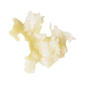 Диск за настъргване на хрян с размер 1,3 мм за CL20 и R201XL