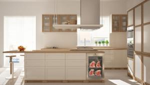 Хладилна витрина за сухо зреене, Premium S, 20 кг, цвят по избор