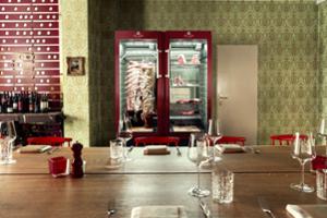 Хладилна витрина за сухо зреене, Premium S с LED Salt Wall, 100 кг, цвят по избор